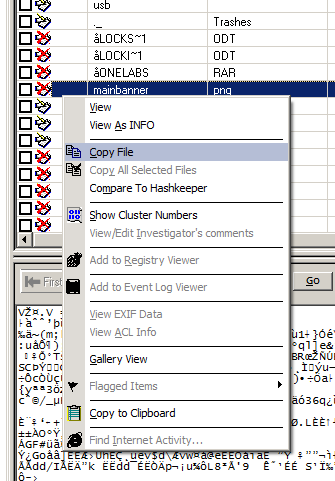 prodiscover forensics file formats